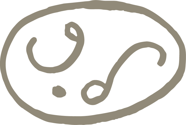 Logo Elodie Dugué Photographe