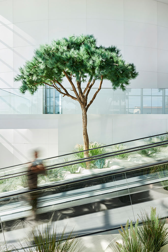 YLIUM Book photographe architecture Nantes projet Ylium